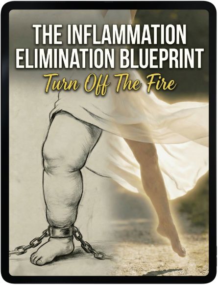 The Inflammation Elimination Blueprint